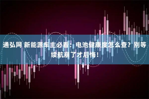 通弘网 新能源车主必看：电池健康度怎么查？别等续航崩了才后悔！