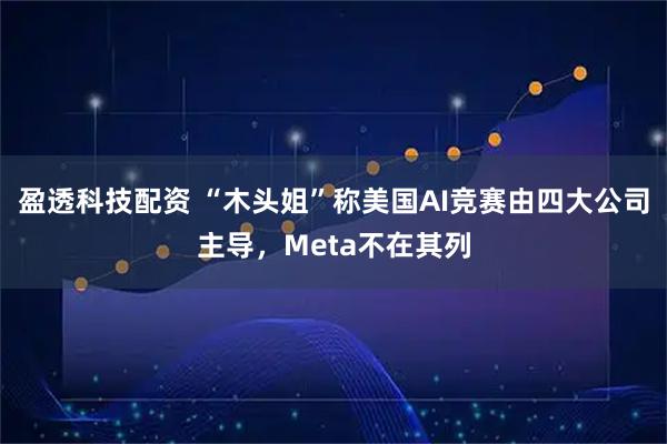 盈透科技配资 “木头姐”称美国AI竞赛由四大公司主导，Meta不在其列