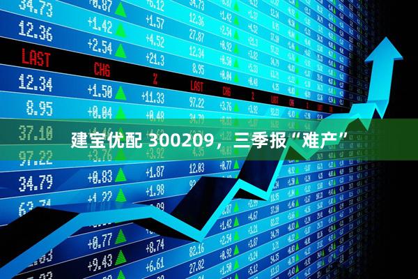 建宝优配 300209，三季报“难产”