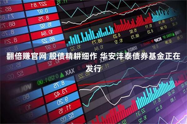 翻倍赚官网 股债精耕细作 华安沣泰债券基金正在发行