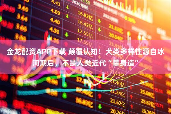 金龙配资APP下载 颠覆认知！犬类多样性源自冰河期后，不是人类近代“量身造”