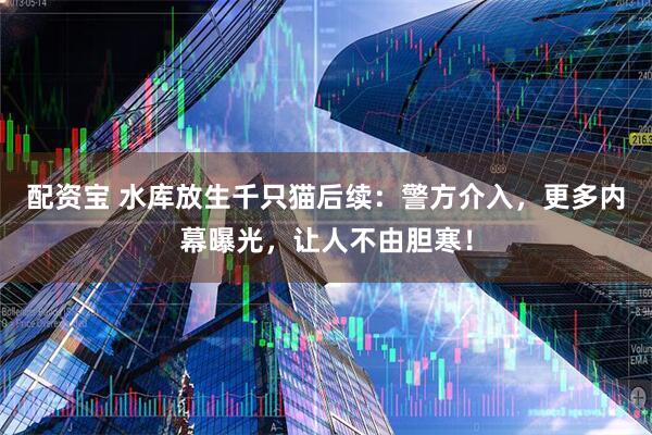 配资宝 水库放生千只猫后续：警方介入，更多内幕曝光，让人不由胆寒！