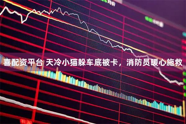 喜配资平台 天冷小猫躲车底被卡，消防员暖心施救