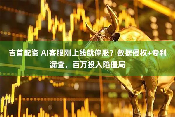 吉首配资 AI客服刚上线就停服？数据侵权+专利漏查，百万投入陷僵局