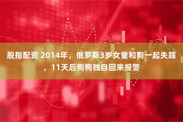 股指配资 2014年，俄罗斯3岁女童和狗一起失踪，11天后狗狗独自回来报警
